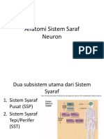 Anatomi Sistem Saraf Neuron