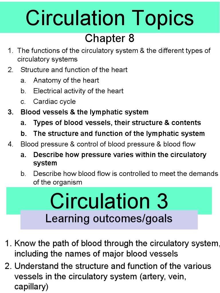 Circulation 3 Slides | PDF