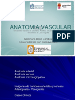 Clase Anatomia Vascular - PP
