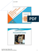04.-Polimorfismo.pdf