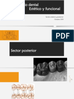 Encerado dental posteriores.pptx