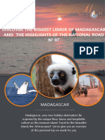 Madagascar Roteiro
