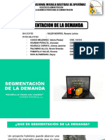 Segmentacion de La Demanda Exponer