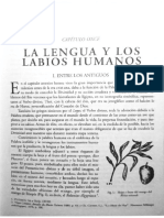 la lengua y los labios humanos