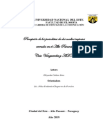 Percepción de Los Periodistas de Dos Medios Impresos Cerrados en El Alto Paraná Caso Vanguardia y ADN