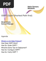 Mpls NSN Training Day 3 Ospf PDF