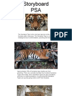 Sumatran Tiger PSA