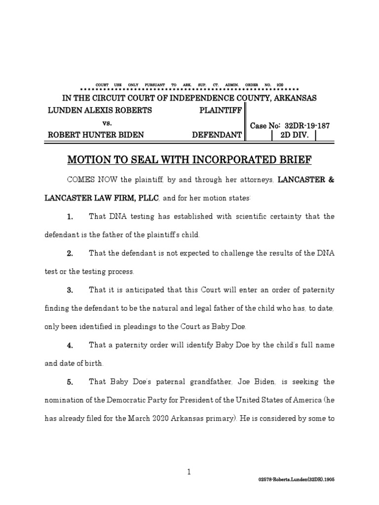 Hunter Biden Paternity Suit Motion | PDF | Wisconsin Circuit Courts ...