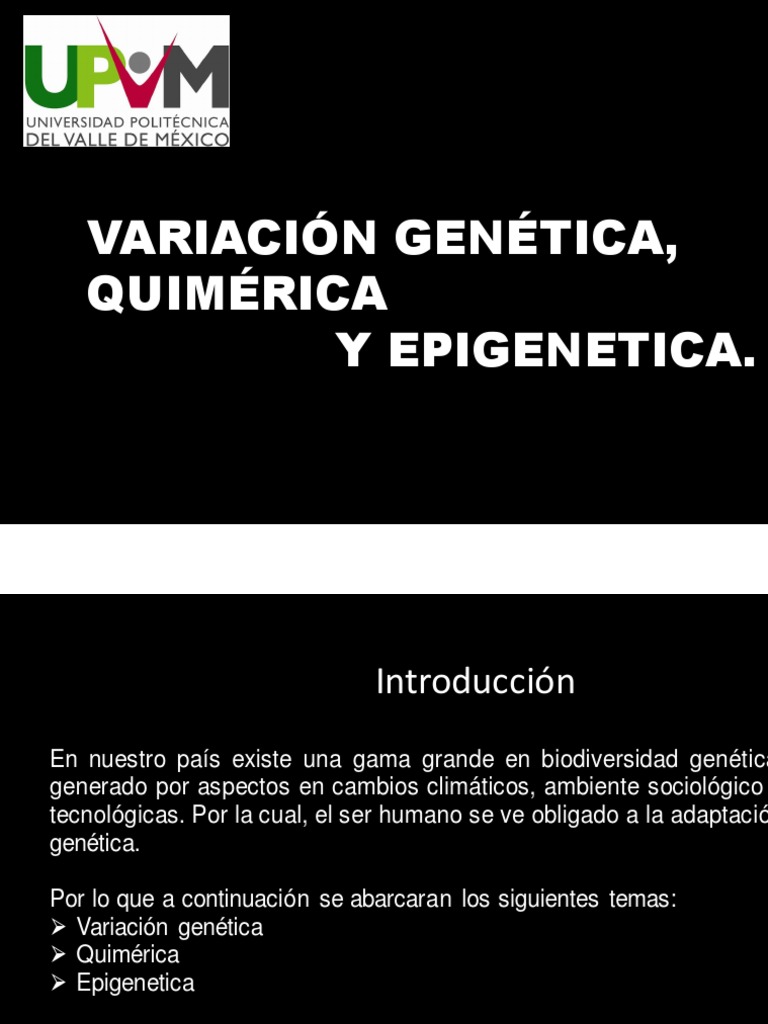 Variacion Genetica, Epigenetica y Quimerica | PDF | Epigenética ...