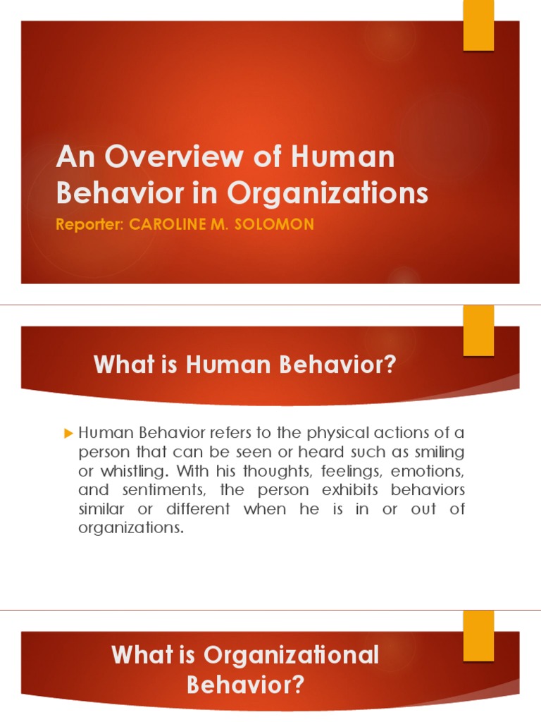 Understanding Human Behavior in Organizations | PDF | Career & Growth ...