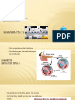 Segunda Parte de Diabetes Mellitus