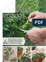 Successful Cuttings: Garden Practice