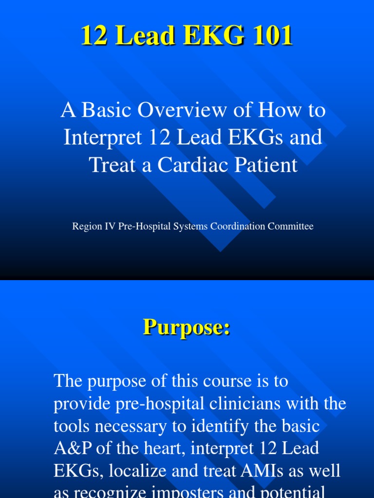 Interpreting 12-Lead EKGs: A Guide to Identifying Cardiac Anatomy ...