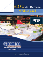 EL AEIOU DEL DERECHO CIVIL Y PROCESAL CIVIL EGACAL.pdf