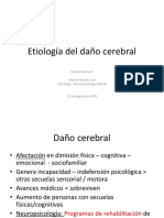 Etiología Del Daño Cerebral