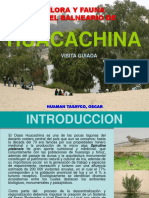 VISITA_GUIADA_HUACACHINA.pdf