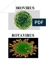 Virus