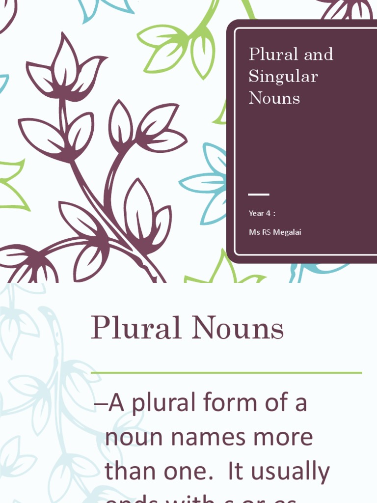Plural and Singular Nouns Year 4 Ms RS Megalai PDF