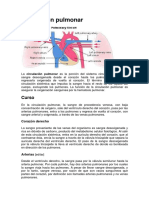 Circulacion_pulmonar.pdf