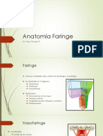 Anatomía Faringe