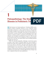 Paleopathology: The Study of Disease in Prehistoric Times