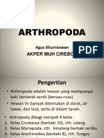 Arthropoda PDF