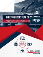 3142620-do-processo-judiciario-do-trabalho.pdf