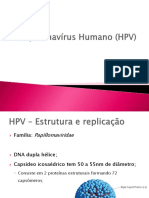 Papiloma Vírus Humano HPV