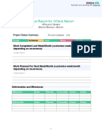 Client Customer Status Report Template