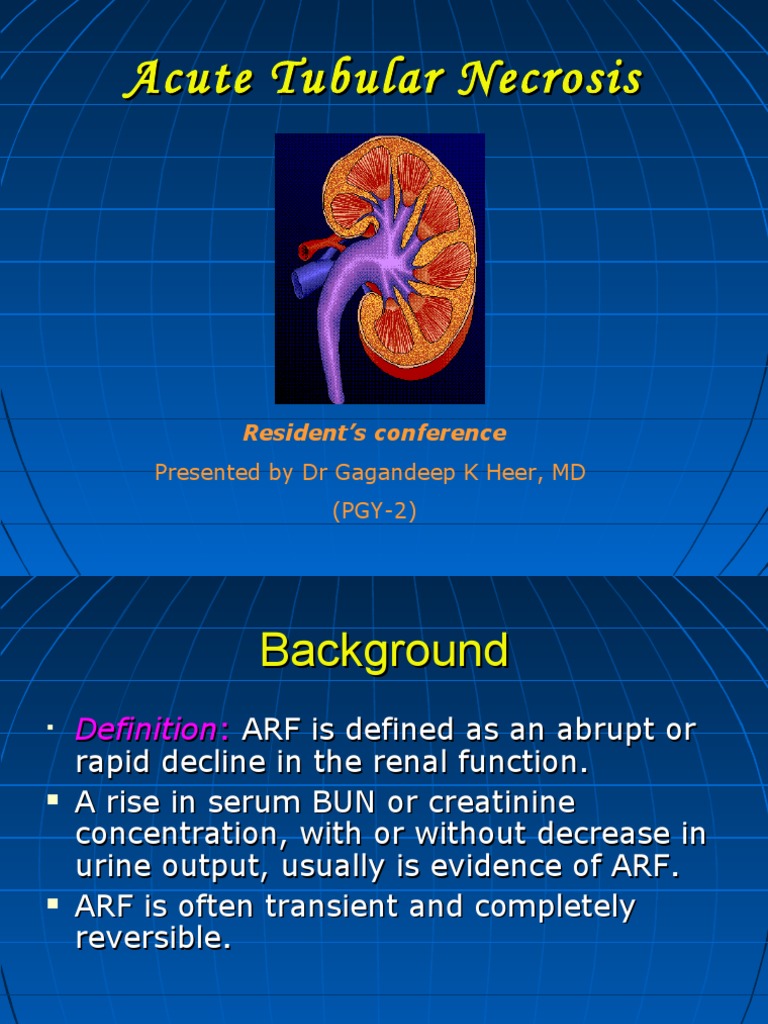 Acute Tubular Necrosis Overview | PDF | Dialysis | Renal Function