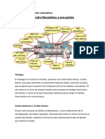 Partes de Un Cilindro Neumático