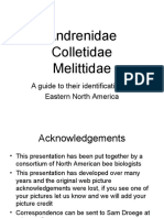 Andrenidae Colletidae Melittidae: A Guide To Their Identification in Eastern North America