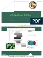 Virología médica: claves para entender los virus