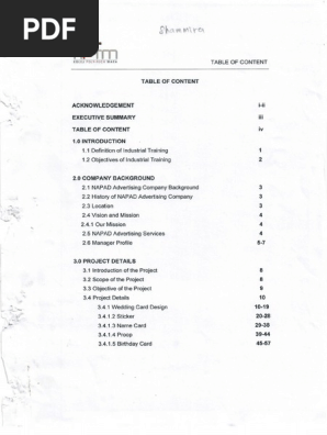 Contoh Report CT108-DCGD.pdf