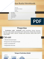 Pembelahan Radial Holoblastik