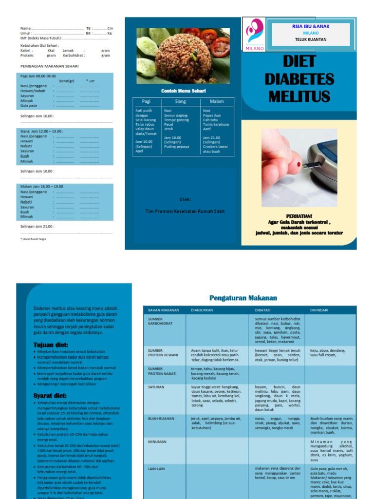 Leaflet Diet Diabetes Melitus 1 | PDF