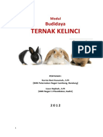 Modul Kelinci