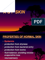 1.a & P Skin