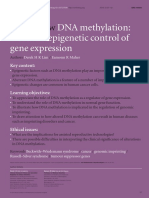 SAC Review: DNA Methylation: A Form of Epigenetic Control of Gene Expression