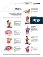 Katalog Biologi Model
