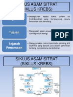 Siklus Asam Sitrat +energi Katabolisme