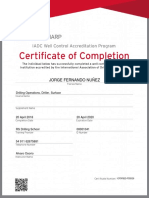 Jorge Fernando Nuñez: Drilling Operations, Driller, Surface