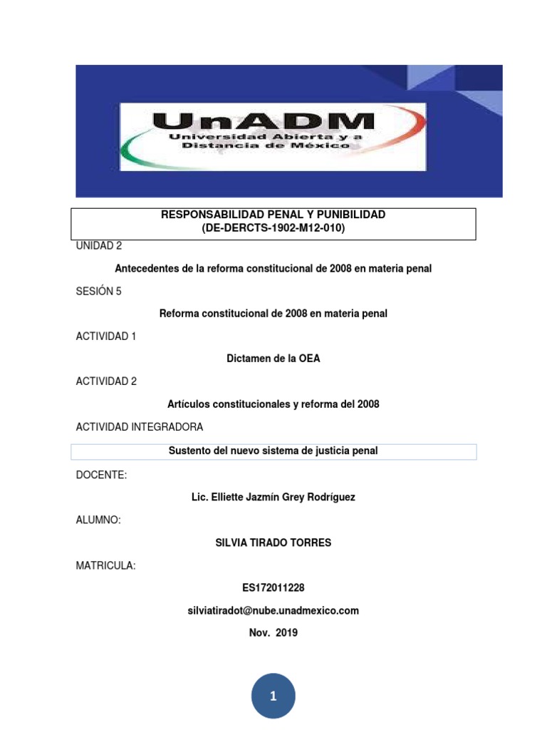 Reforma Penal 2008 en México: Impacto y Cambios | PDF | Derecho penal ...