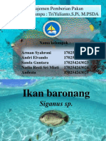 Budidaya Ikan Baronang