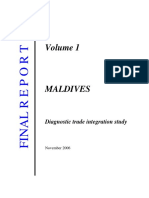 Maldives-DTIS-2006.pdf