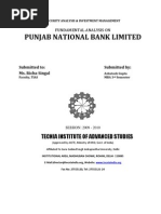 Fundamental Analysis of PNB Ltd.