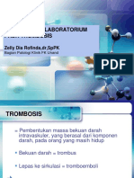 PEMERIKSAAN LABORATORIUM PADA TROMBOSIS-dr - Zelly-2