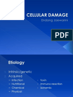 Cellular Damage