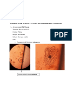 Modul 6 Laporan PDF