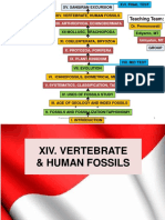 14-Vertebrate & Human Fossils.pptx